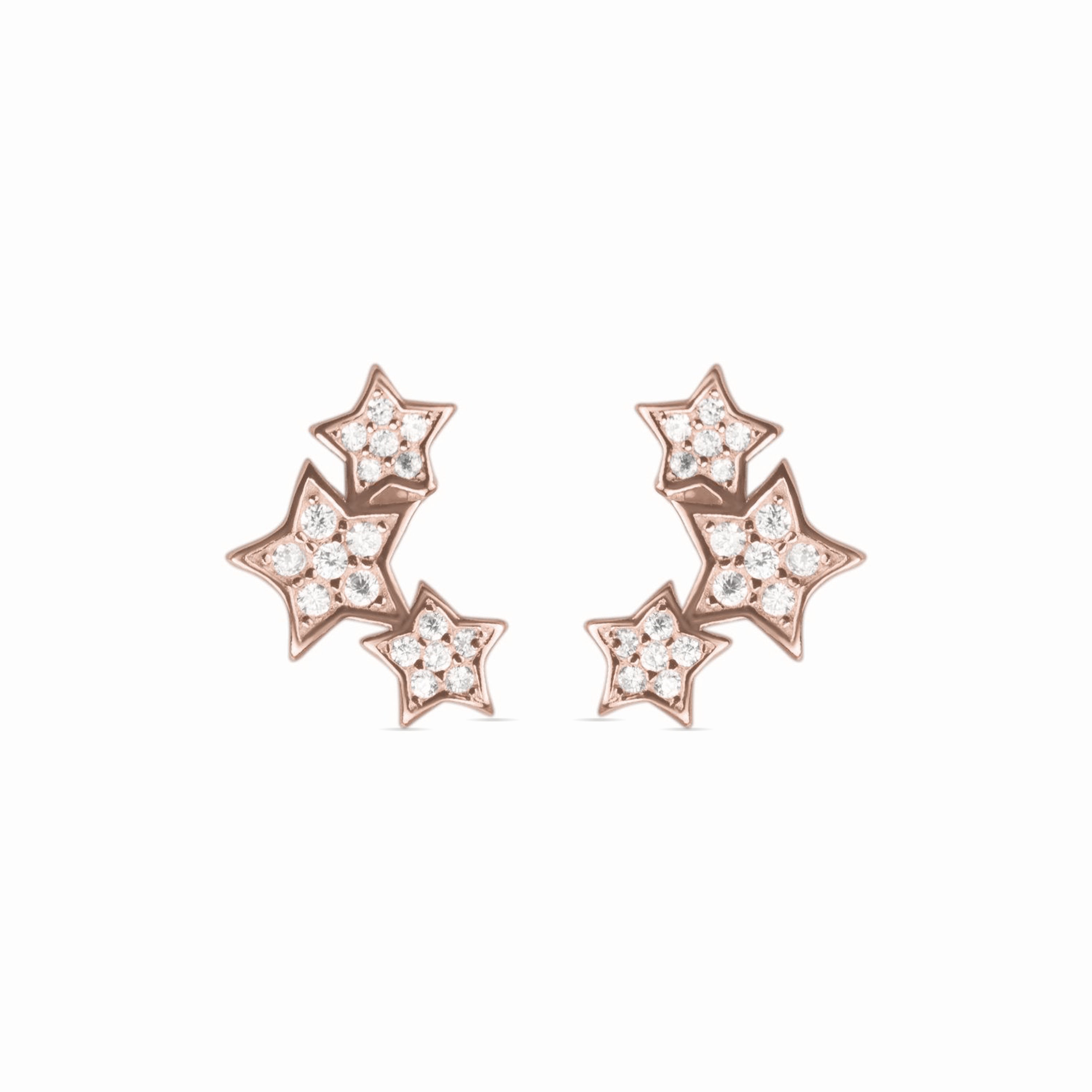 925 Sterling Silver Earrings with Brilliant Zirconia finished in 18K Rose Gold - Family