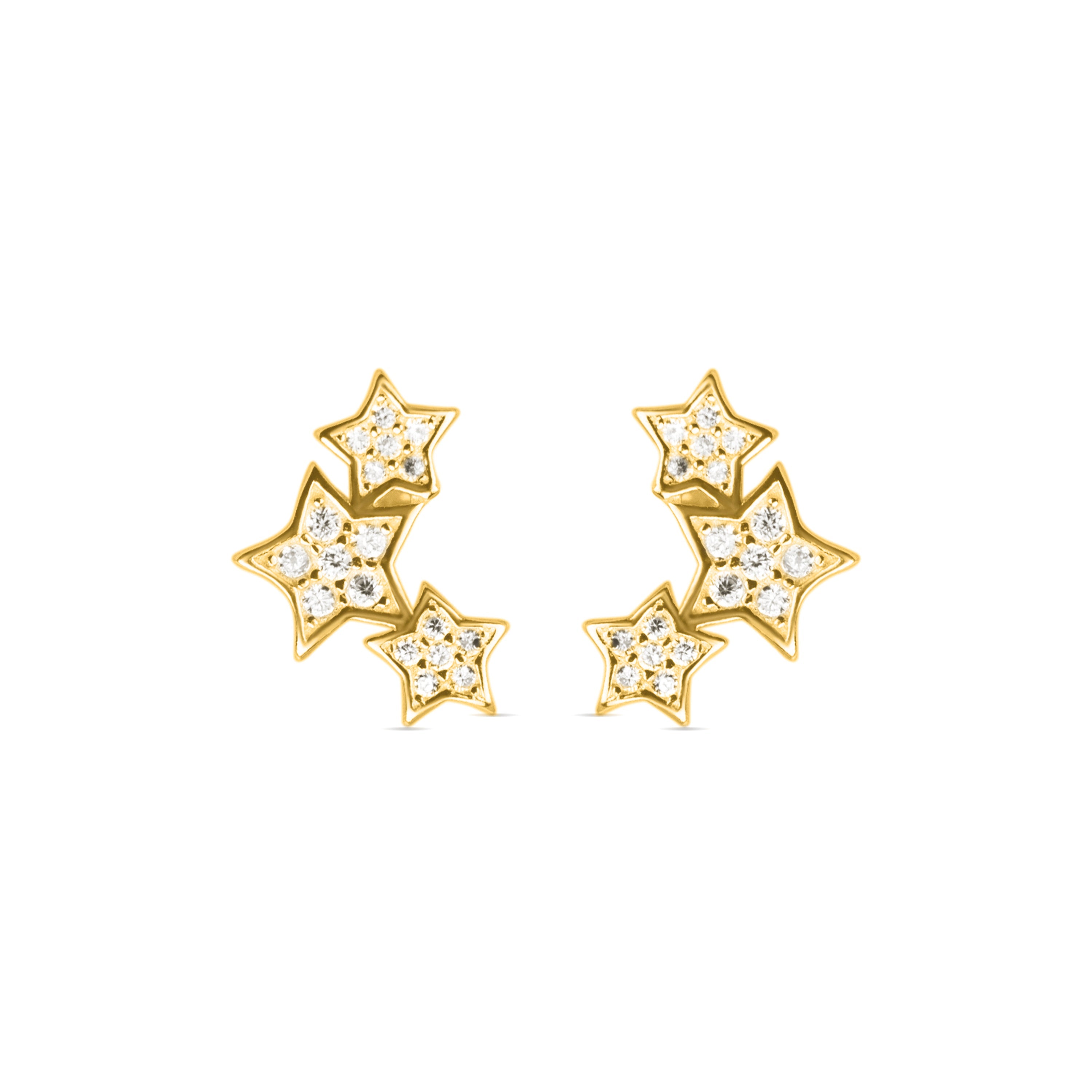 925 Sterling Silver Earrings with Brilliant Zirconia finished in 18K Yellow Gold - Family