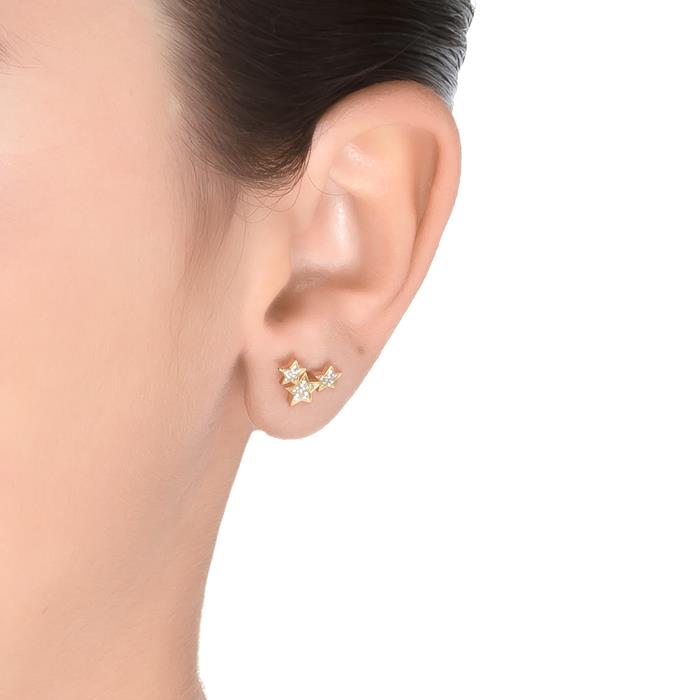 925 Sterling Silver Earrings with Brilliant Zirconia finished in 18K Yellow Gold - Family
