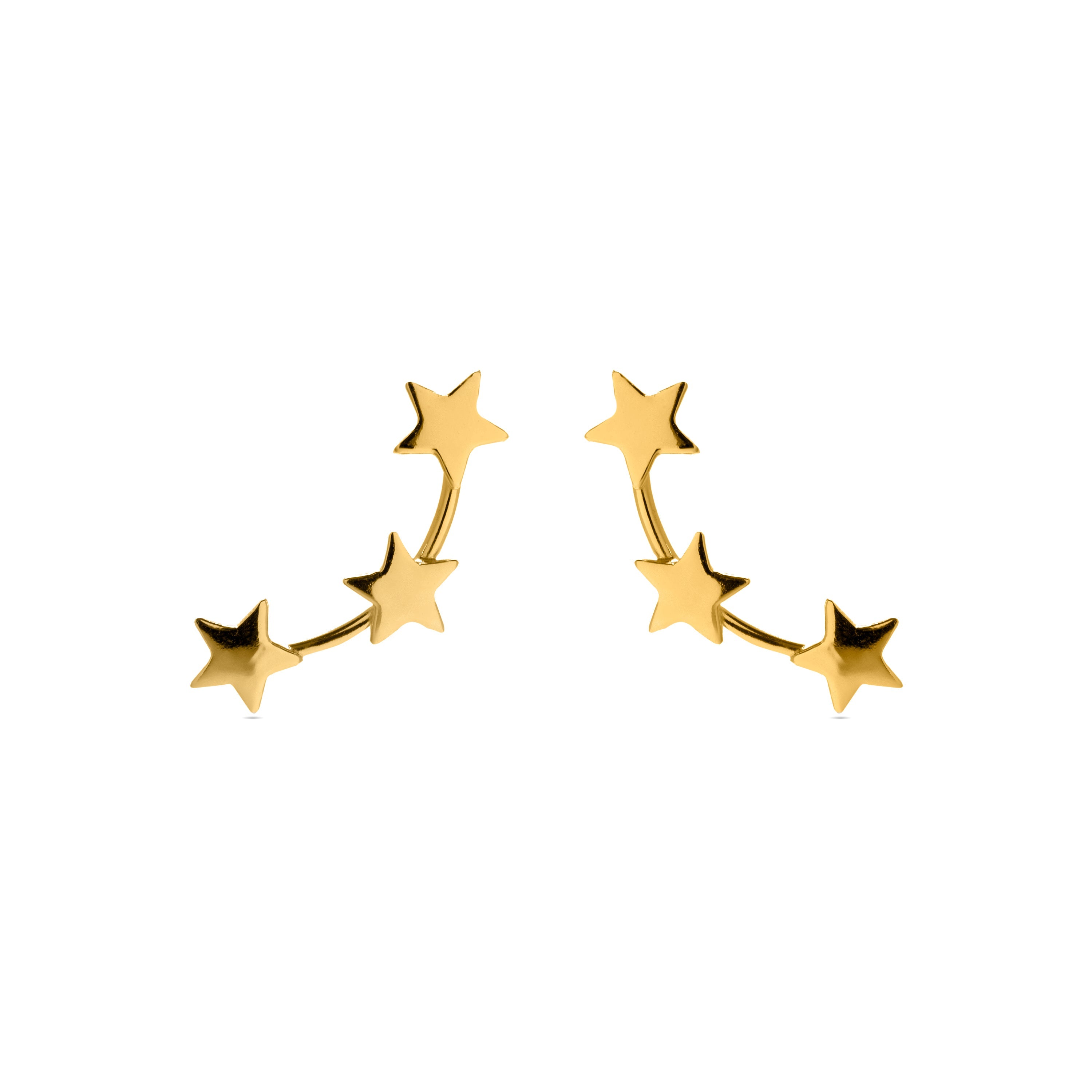 925 Sterling Silver Earrings with 18K Yellow Gold Finish - Essential