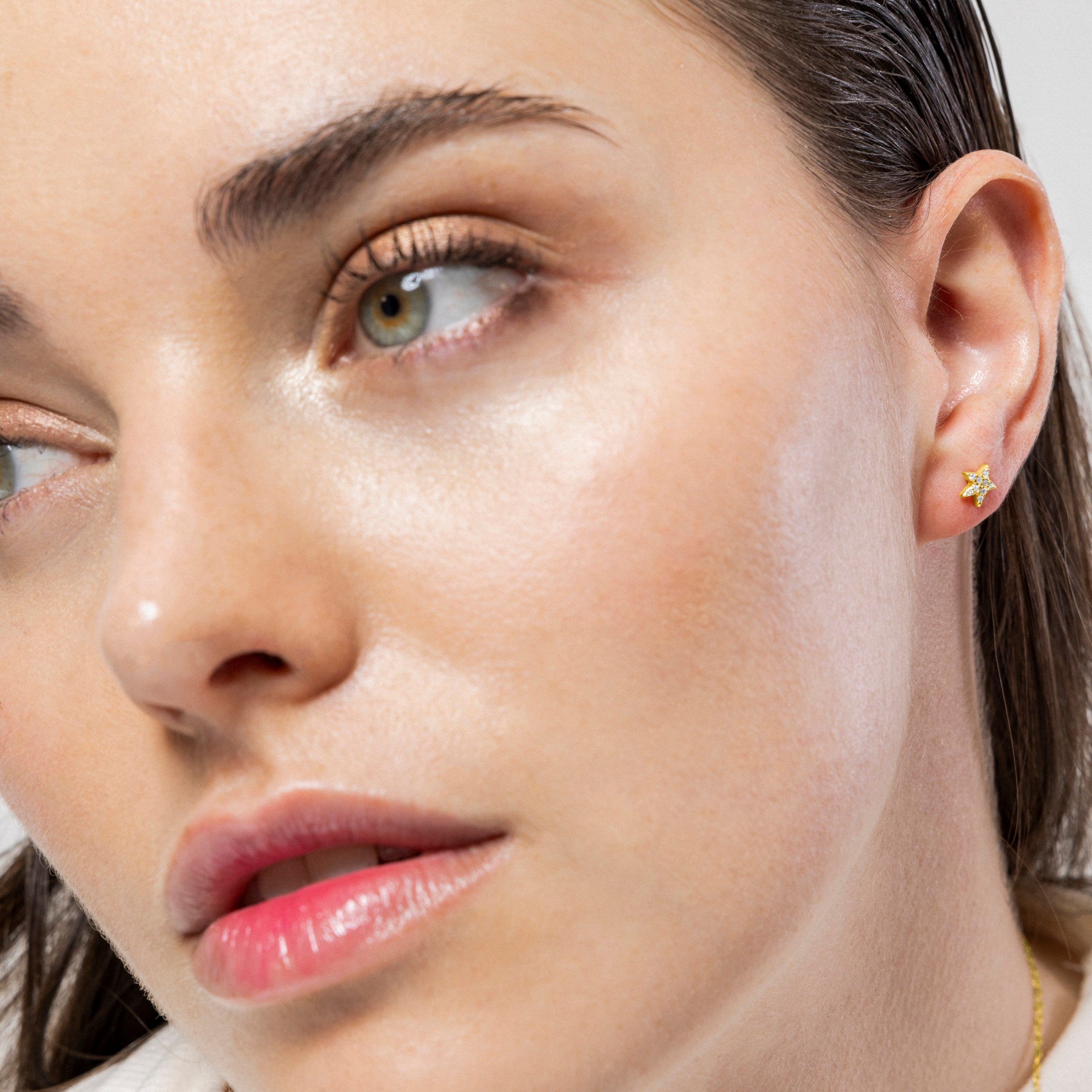 925 Sterling Silver and Brilliant Zirconia Earrings Finished in 18K Yellow Gold - Star