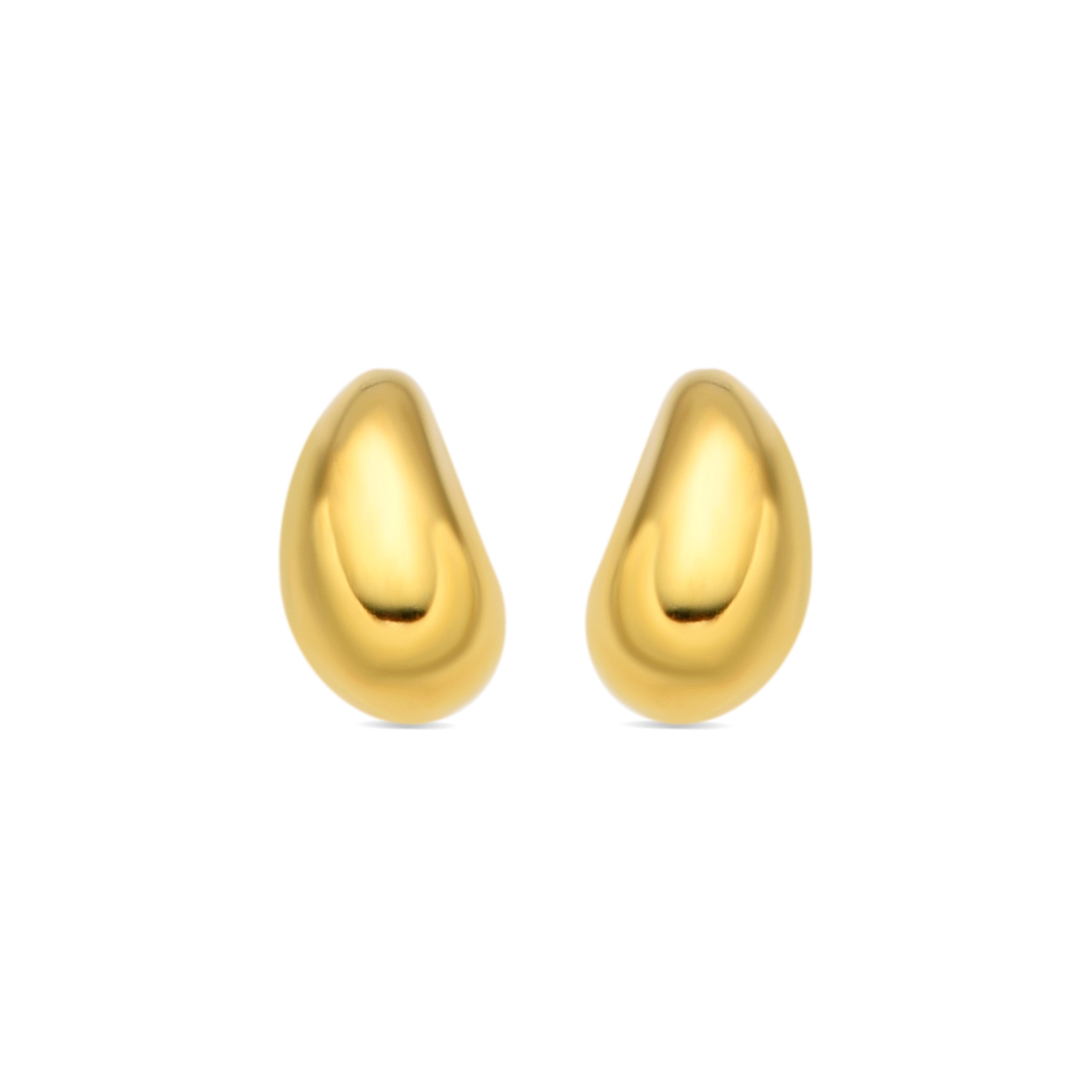 925 Sterling Silver Earrings with 18k Yellow Gold Finish - Nokie