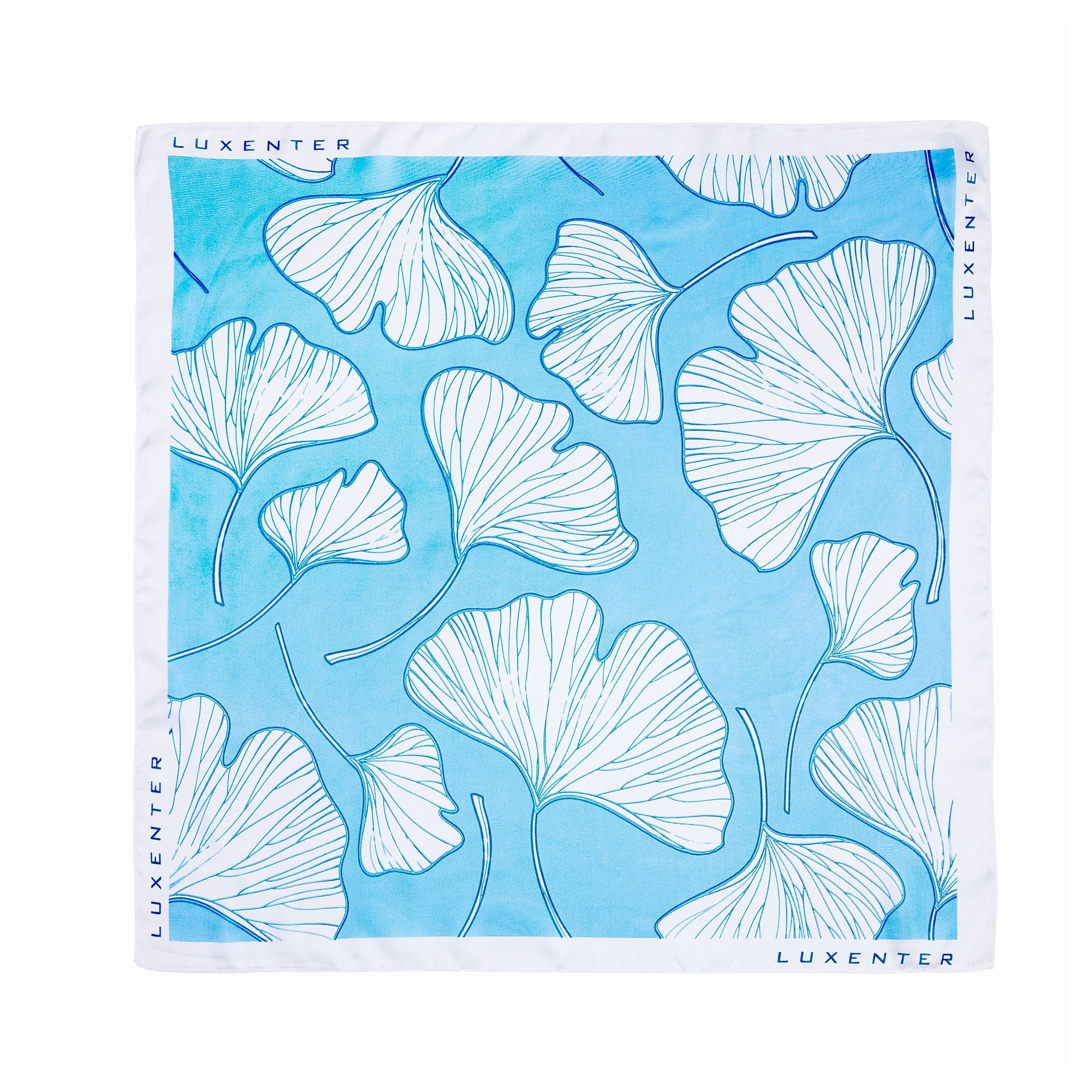 Pañuelo Azul y Blanco de Seda-Luxenter