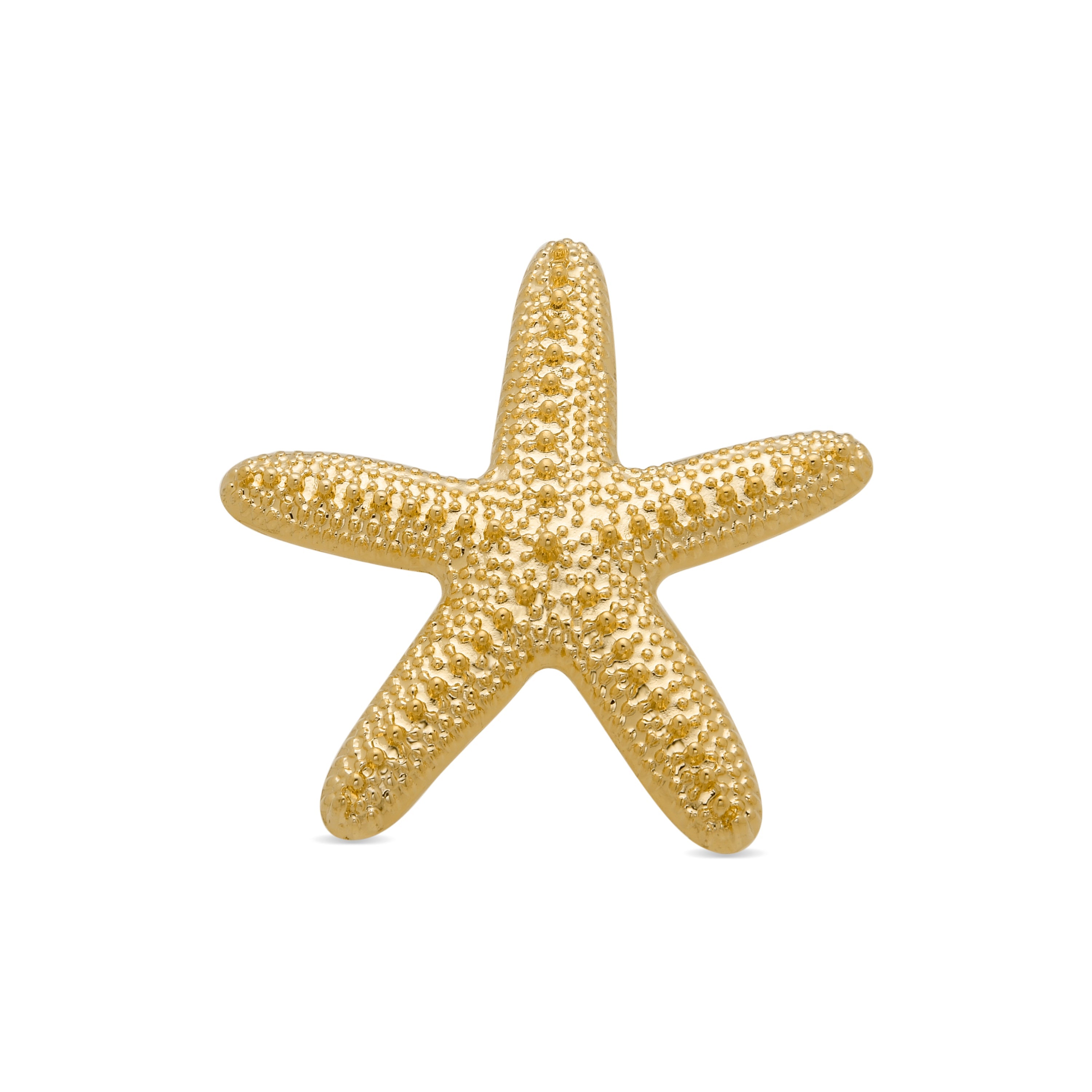 18K yellow gold finished brooch - Star