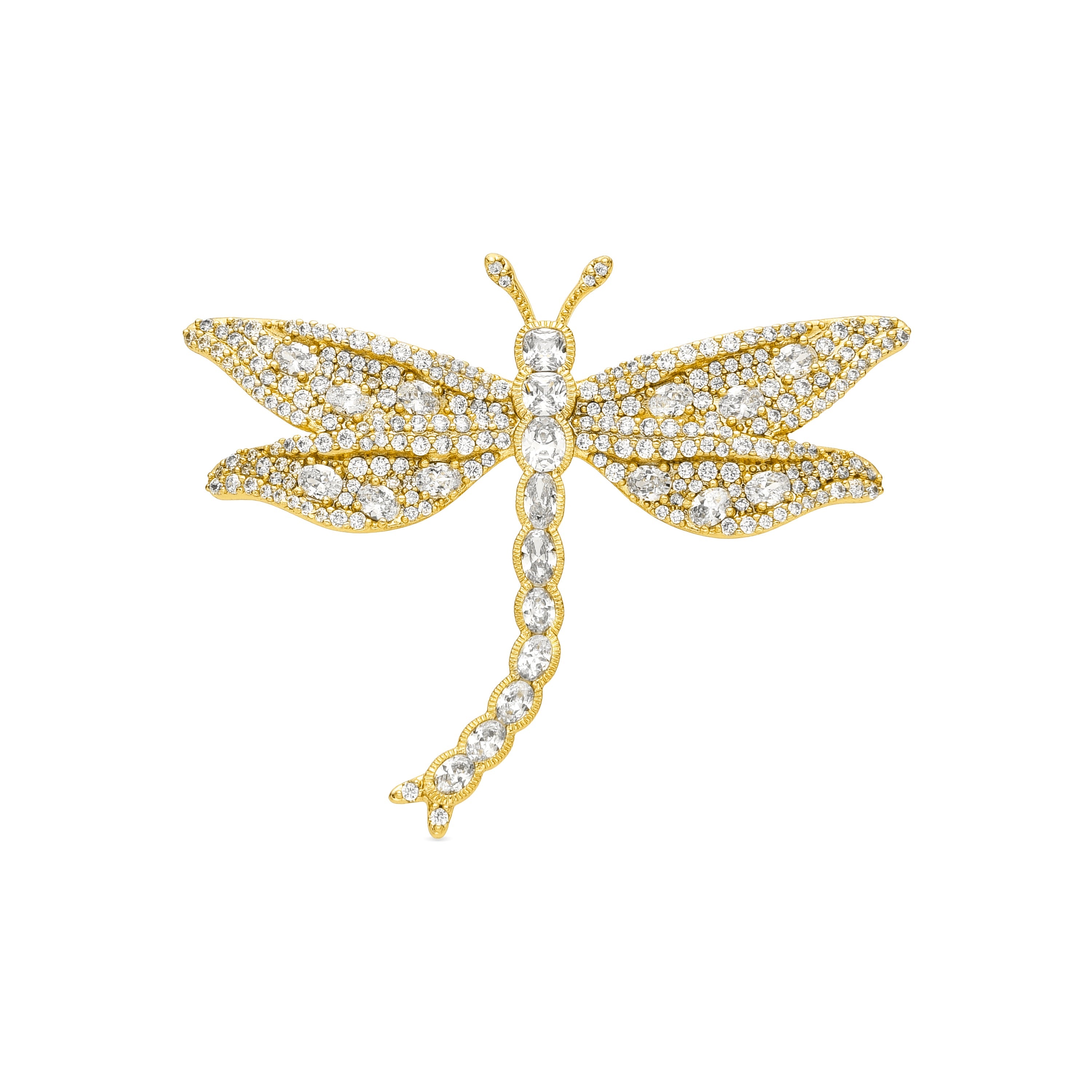 Broche con Circonita Brillante acabado oro 18k - Anock