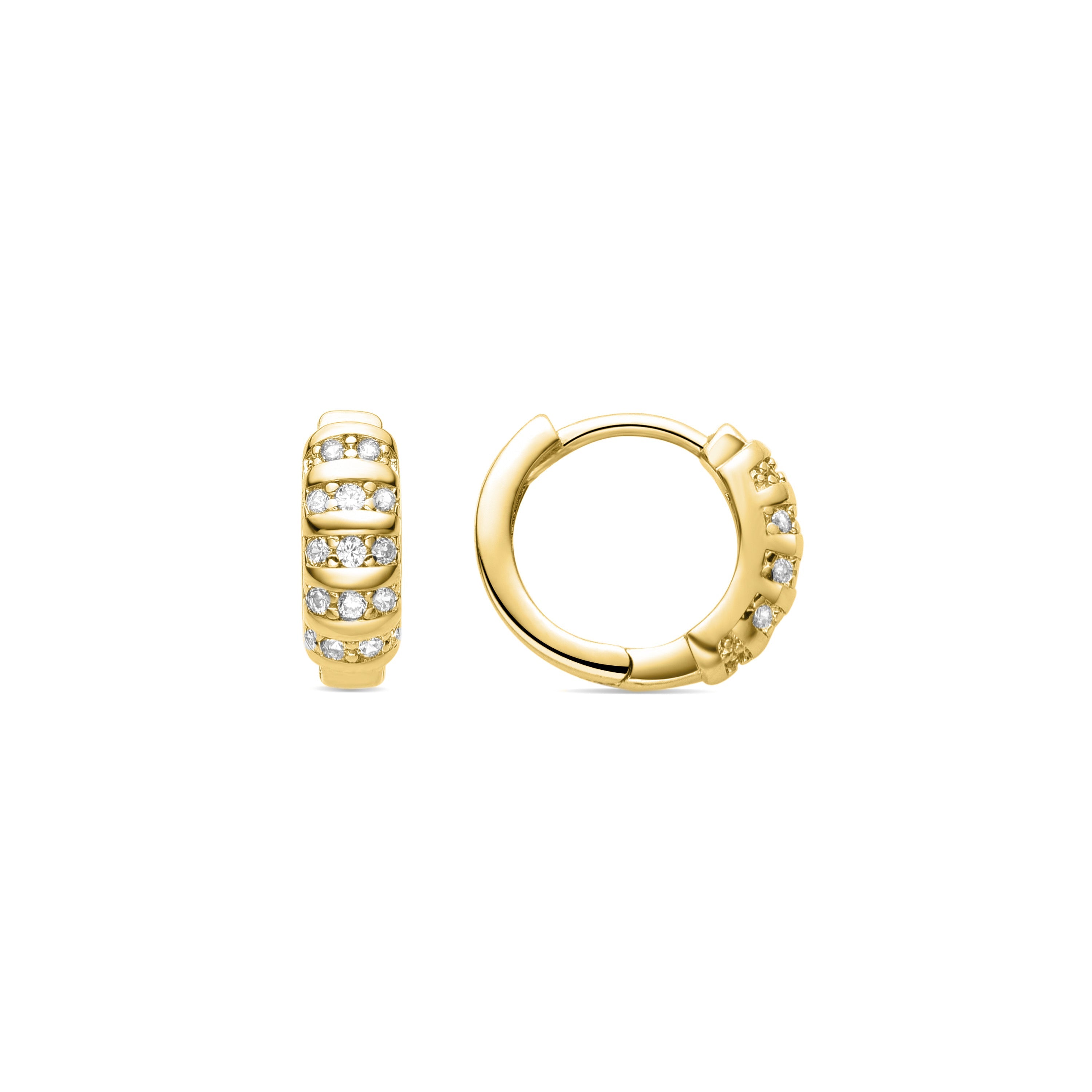 Brilliant Zirconia Earrings Finished in 18K Yellow Gold - Linbu