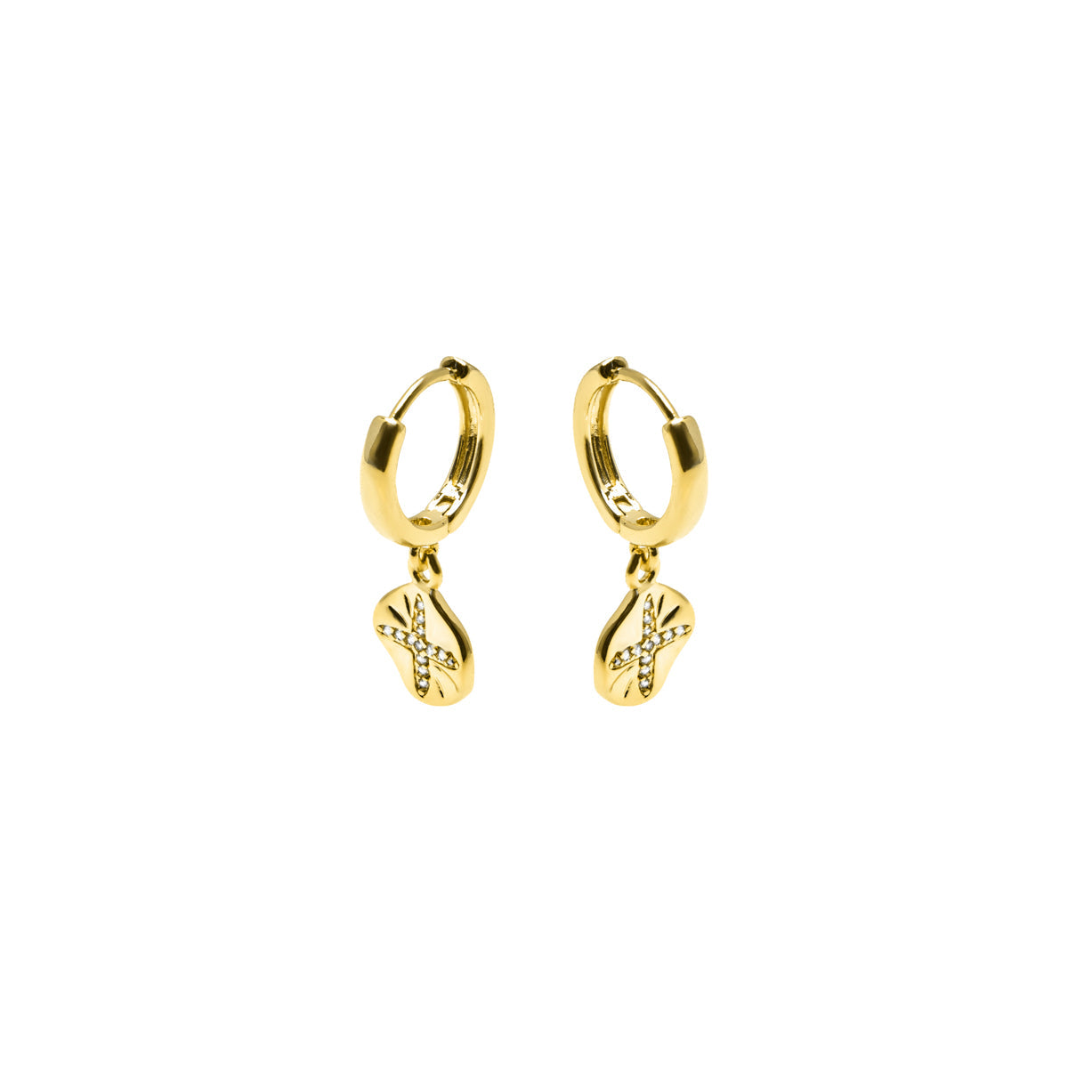 Brilliant Zirconia Earrings Finished in 18K Yellow Gold - Topro