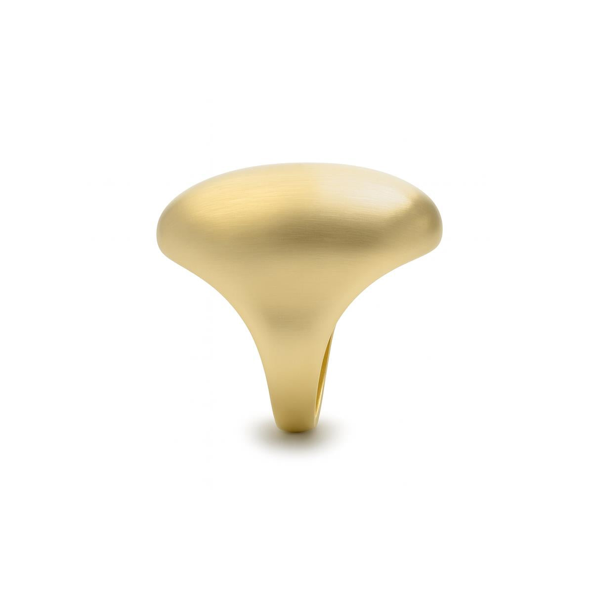 18k yellow gold plated ring - Hissfu