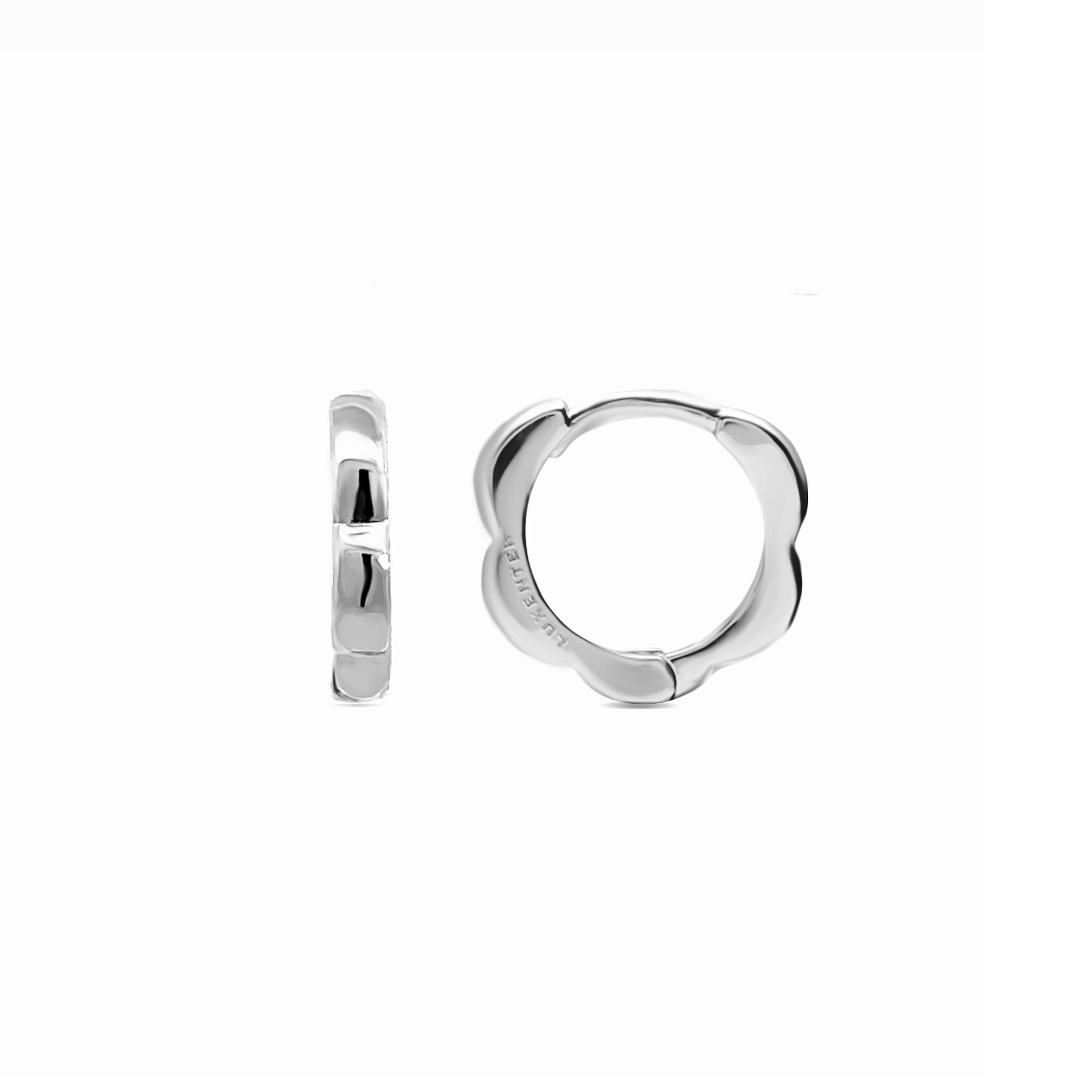 Rhodium-plated earrings - Diwon