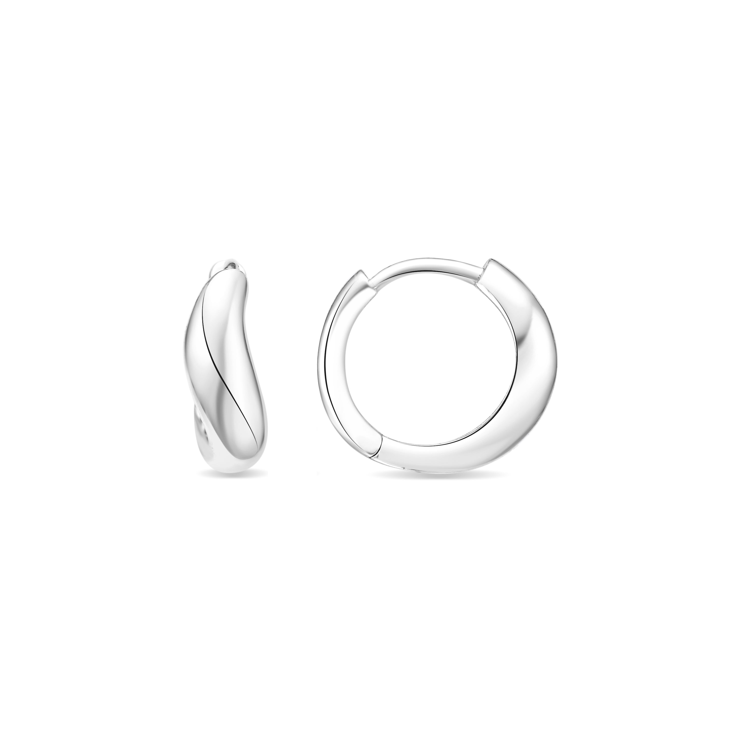 Silver Finish Earrings - Lanwise