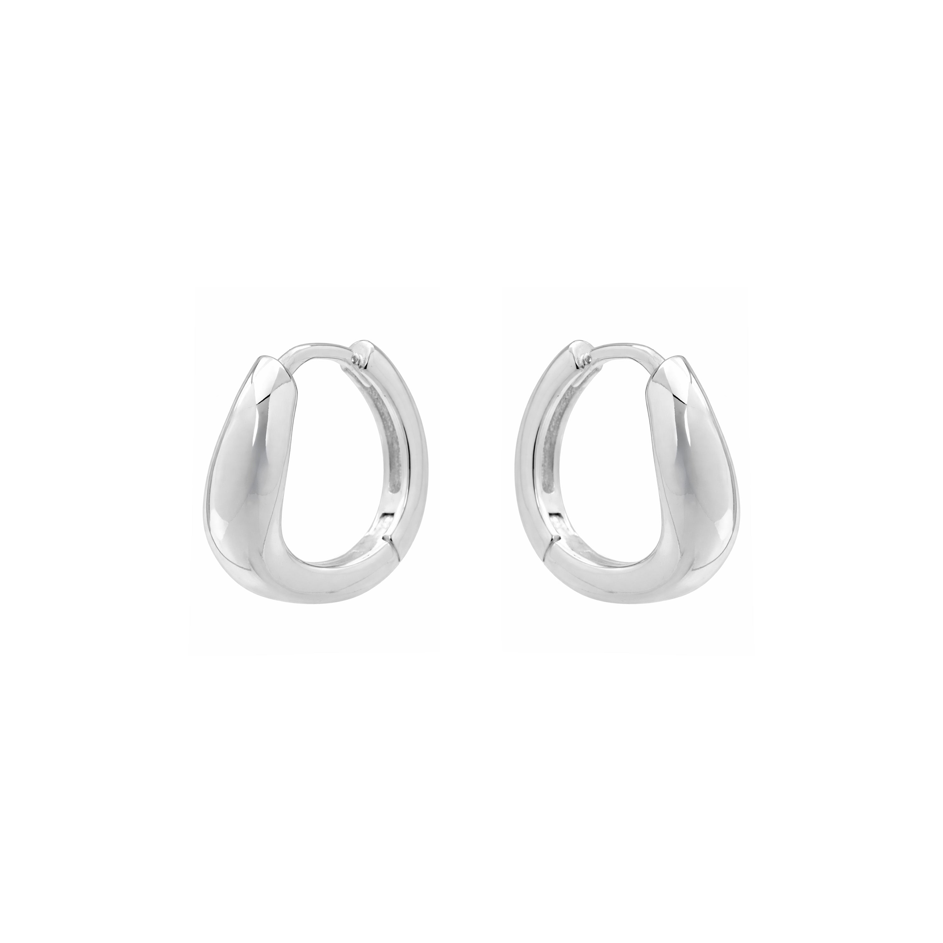Silver Finish Earrings - Lanwise